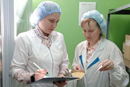  Контроль качества питания