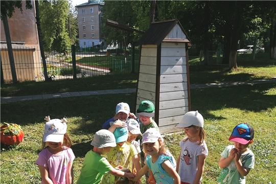 Летние прогулки по экологической тропе в ДОУ