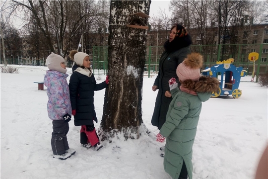 Эко-кормушки для птиц от воспитанников детского сада.