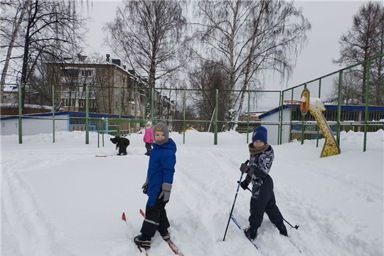 Лыжные прогулки