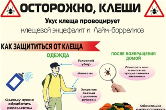 Безопасное поведение в лесу и на природе. Профилактика клещевого энцефалита