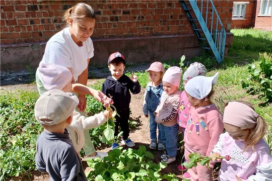 "Здоровье с грядки о пользе овощей".