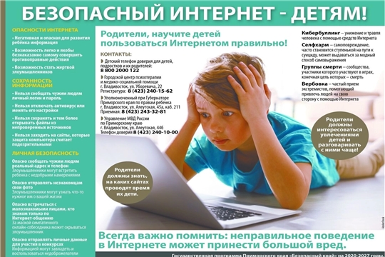 О том, что можно и чего нельзя делать, когда ты онлайн.