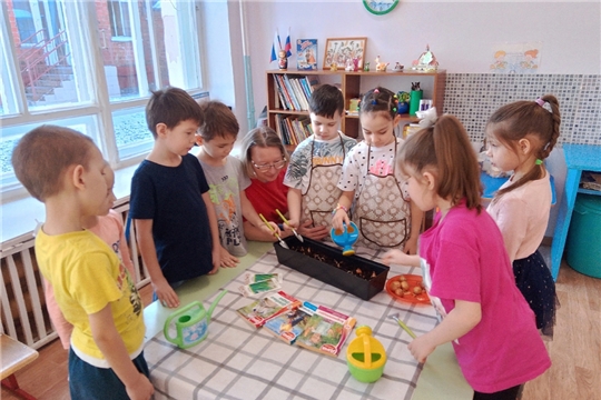 С приходом весны воспитатели и дети организуют огород на подоконнике.