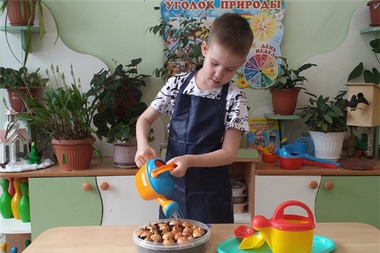 Всё про лук