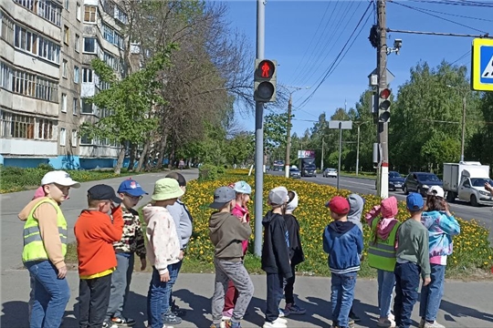 Правила пешеходов