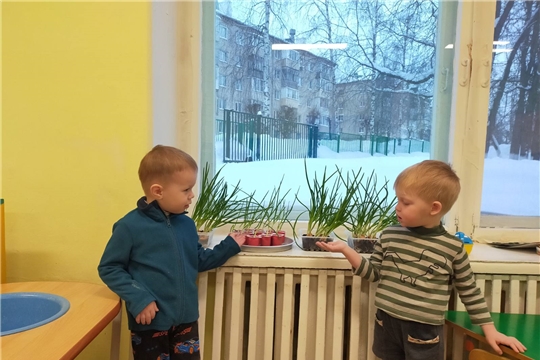 На окне наш огород, наблюдаем , что растет