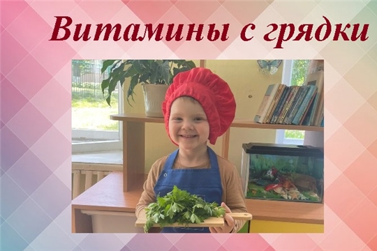 Зеленые витамины с грядки