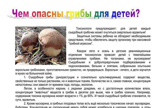 Чем опасны грибы