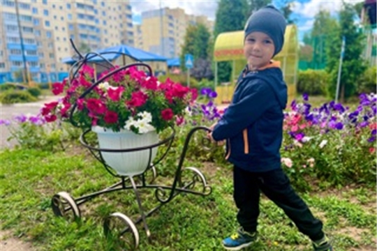 Наши цветники