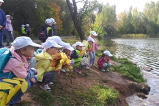 Прогулка в ботанический сад