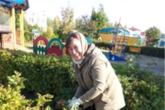 Осенние экологические мероприятия 