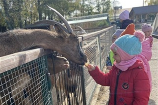 По родному краю с рюкзаком шагаю