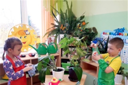 Ухаживаем за комнатными растениями 