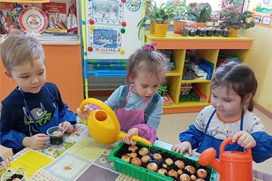 Огород на окне