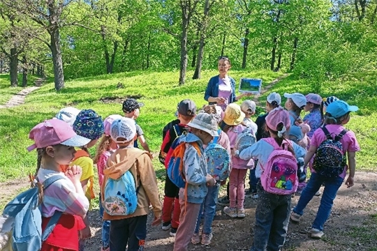 Экскурсия в «Бауманский лес»