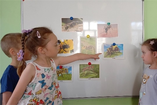 Правила безопасности: укусы насекомых