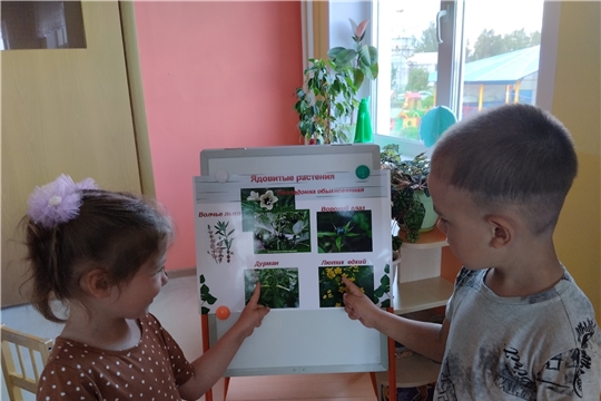 Ядовитые растения.