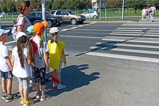 Профилактика дорожно-транспортных происшествий