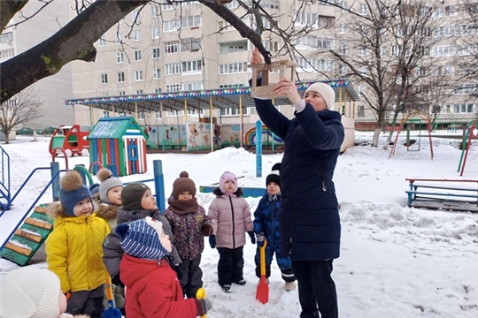 День кормления птиц