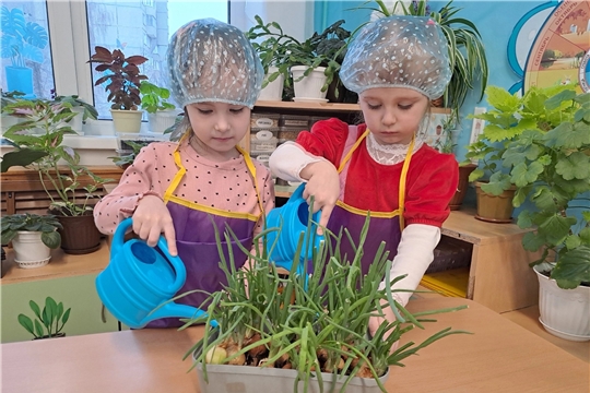 Агролаборатория в детском саду