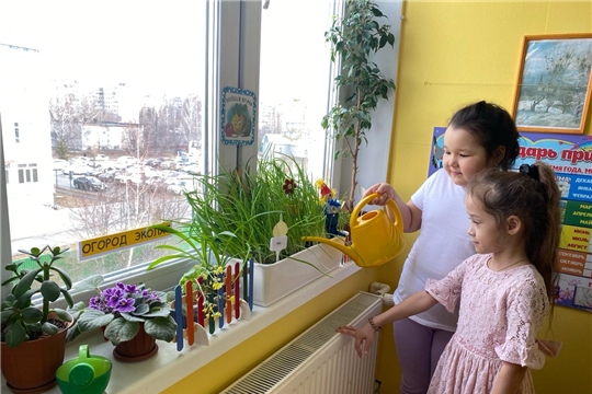 Польза зелени