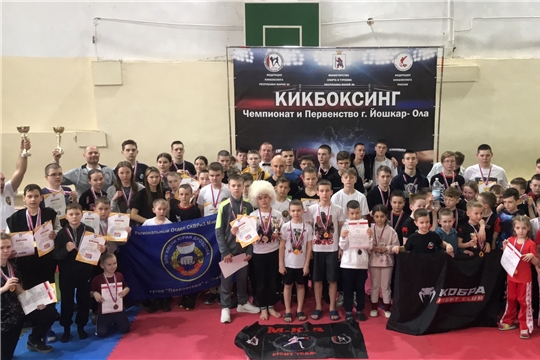 Соревнования по кикбоксингу в Йошкар-Оле