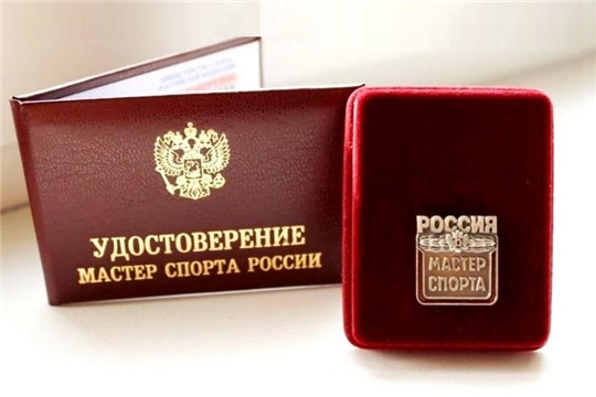 Поздравляем Васильева Николая и Портнов Артема с присвоением звания "Мастер спорта России"