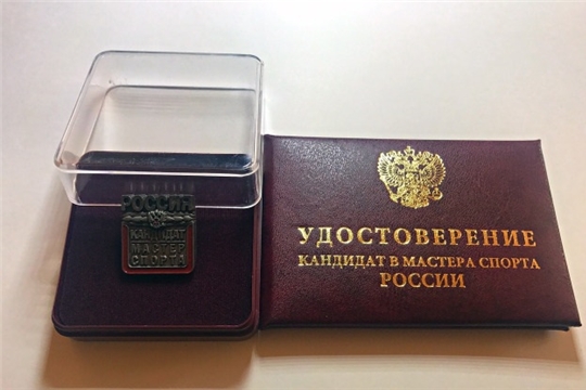 Присвоение спортивных разрядов "Кандидат в мастера спорта"