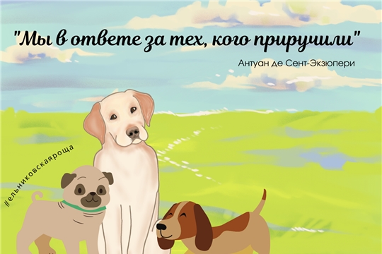 Напоминаем: в роще выгул собак запрещен!