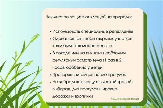 Кто такой этот клещ и чем он опасен?