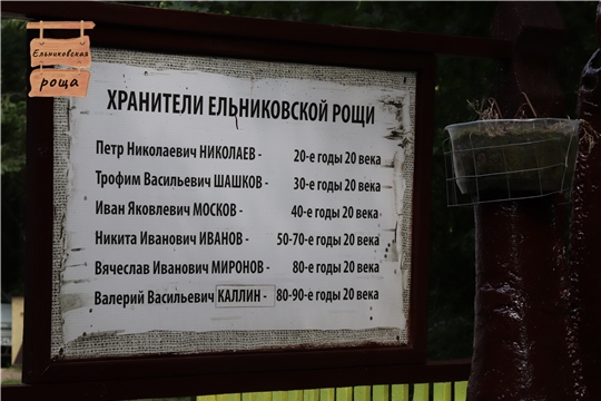 Хранители Ельниковской рощи