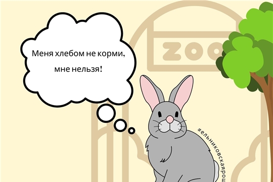 Напоминаем, какие продукты можно приносить в зоопарк