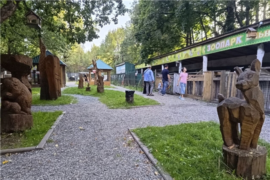 Воскресный день в зоопарке рощи