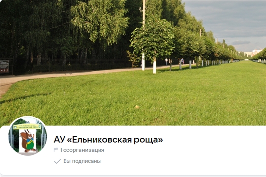 Ельниковская роща есть в социальных сетях