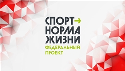 Федеральный проект «Спорт — норма жизни»