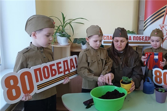 «Цветок ветерану»