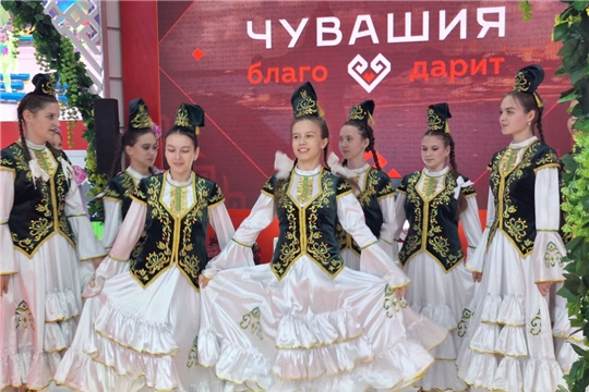 Экспозиция Батыревского муниципального округа, представленная на Международной выставке «Россия» на ВДНХ, привлекает гостей