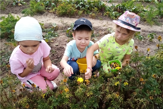 Безопасность на природе