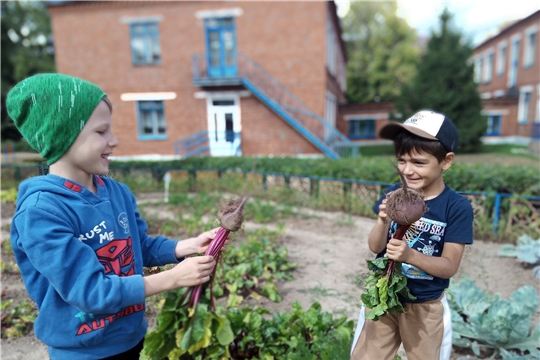 Здоровые дети - счастливые родители