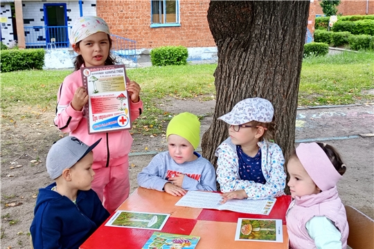 Осторожно, ядовитые грибы!
