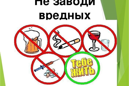 Беседа «Молодежь 21 века и вредные привычки» прошла в Октябрьской сельской библиотеке