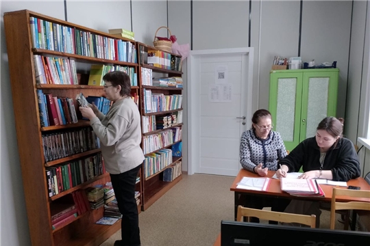 Методическая помощь оказана Эльбарусовской и Карабашской сельским библиотекам