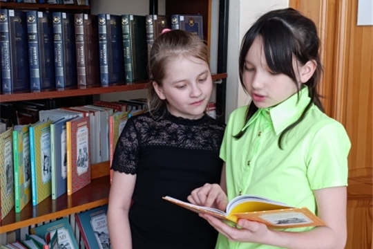 Книжные новинки в Шоршелской сельской библиотеке