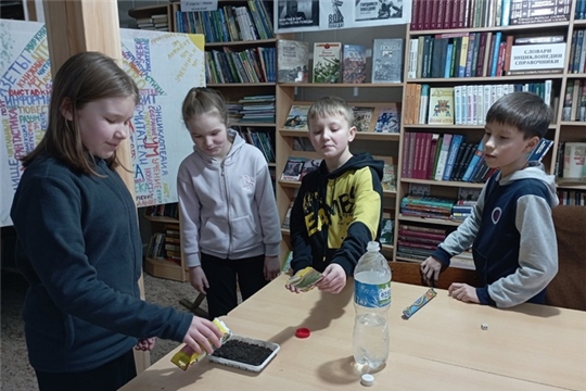 Мастер-класс «Я дружу с природой» в Шомиковской сельской библиотеке