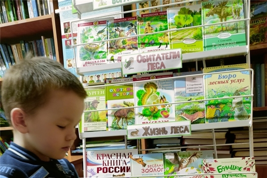 Книжная выставка, посвященная Международному дню леса в орининской сельской библиотеке