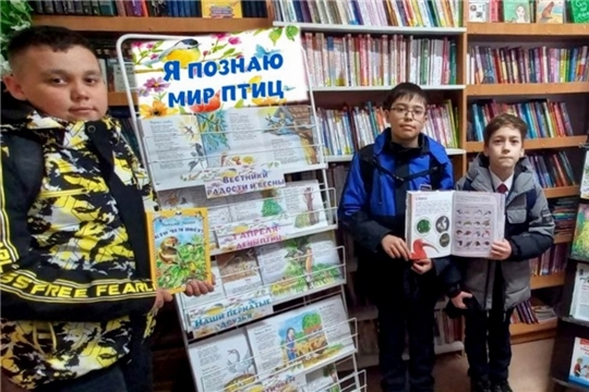 Экологический час "Пернатые друзья" в Орининской сельской библиотеке