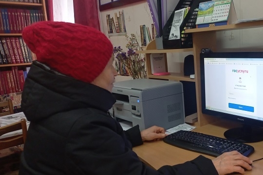 Урок компьютерной грамотности «Госуслуги – это просто!» в Чуманкасинской сельской библиотеке