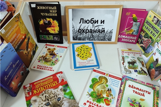 Экологический урок «Учимся мыслить экологически» в Анаткасинской сельской библиотеке
