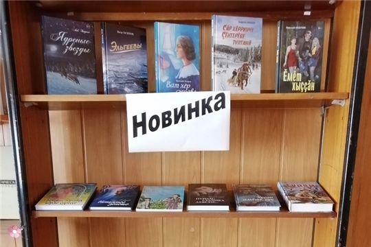 Книжные полки Акчикасинской сельской библиотеки пополнились новинками литературы